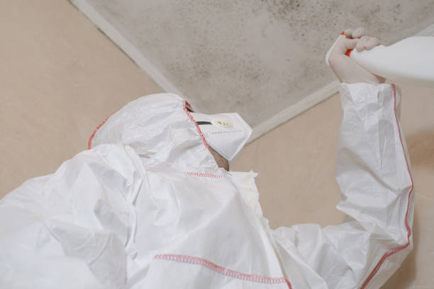 Best Commercial Mold Remediation in Lionville, PA